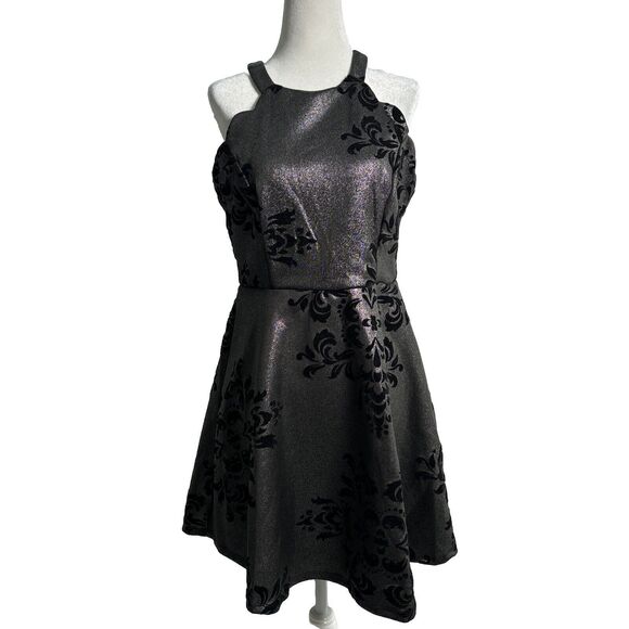 Fairygoth Silver And Black dress Velvet Design Fit and Flare Whimsigoth SZ XL - Picture 1 of 12